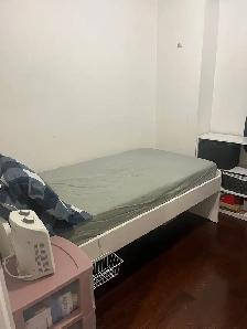 Private room on ground floor for female in Malton from Nov 1