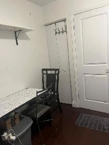 Private room on ground floor for female in Malton from Nov 1 - Photo 3