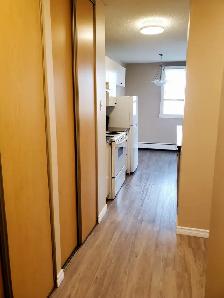 Spacious 1-Bedroom Apartment with Spectacular River View - Photo 6