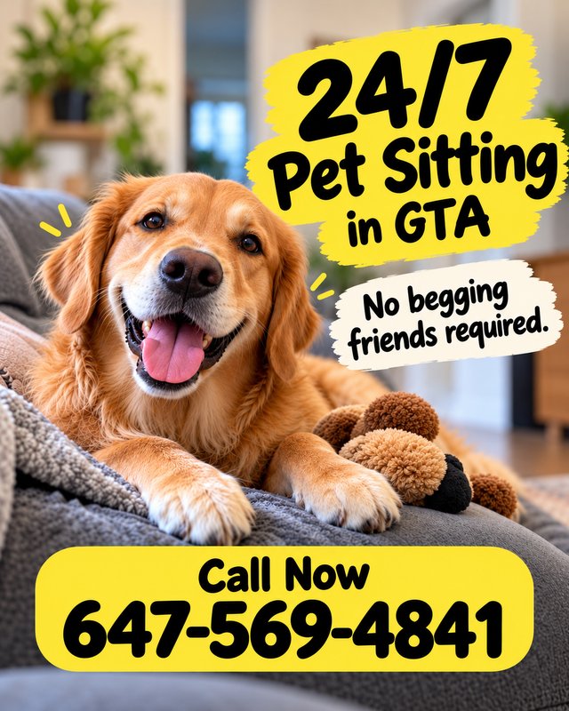 24/7 Pet Sitting in GTA | Dog Boarding Mississauga
