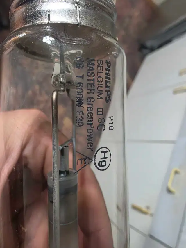600W phillips HPS bulbs