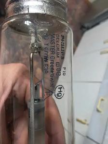 600W phillips HPS bulbs