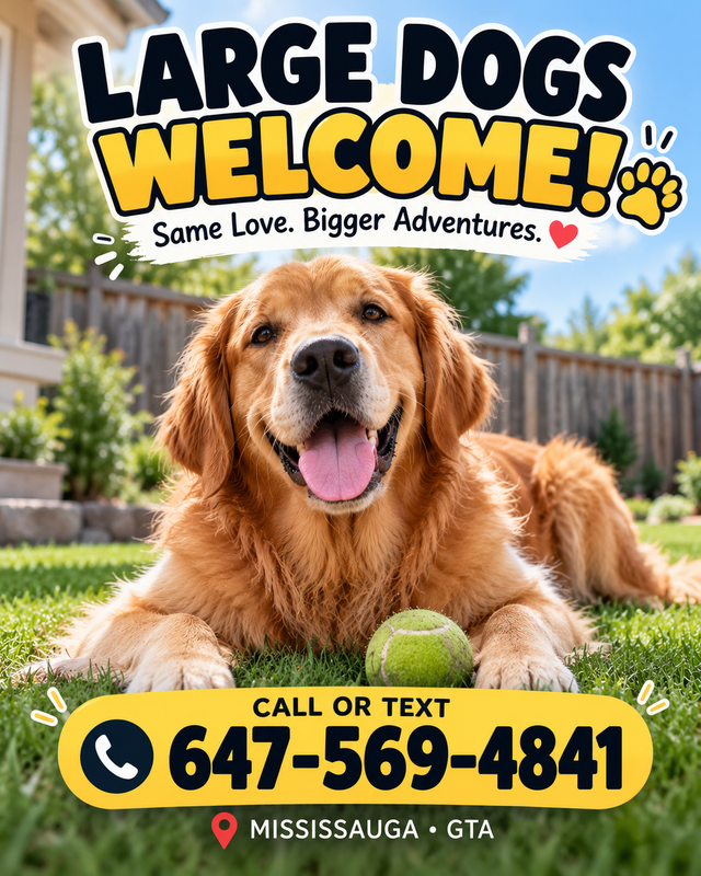 Large Dogs Welcome! | Dog Boarding in Mississauga & GTA