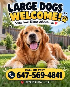 Large Dogs Welcome! | Dog Boarding in Mississauga & GTA