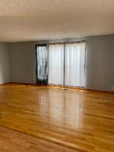 Main Level House with 3 Bedrooms in Beddington - Photo 4