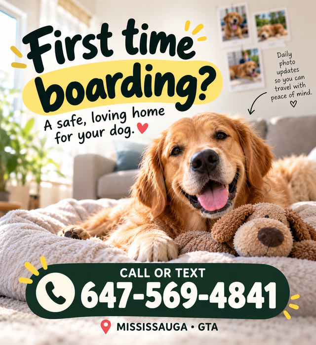 First Time Leaving Your Dog? | Pet Sitting Mississauga