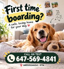 First Time Leaving Your Dog? | Pet Sitting Mississauga