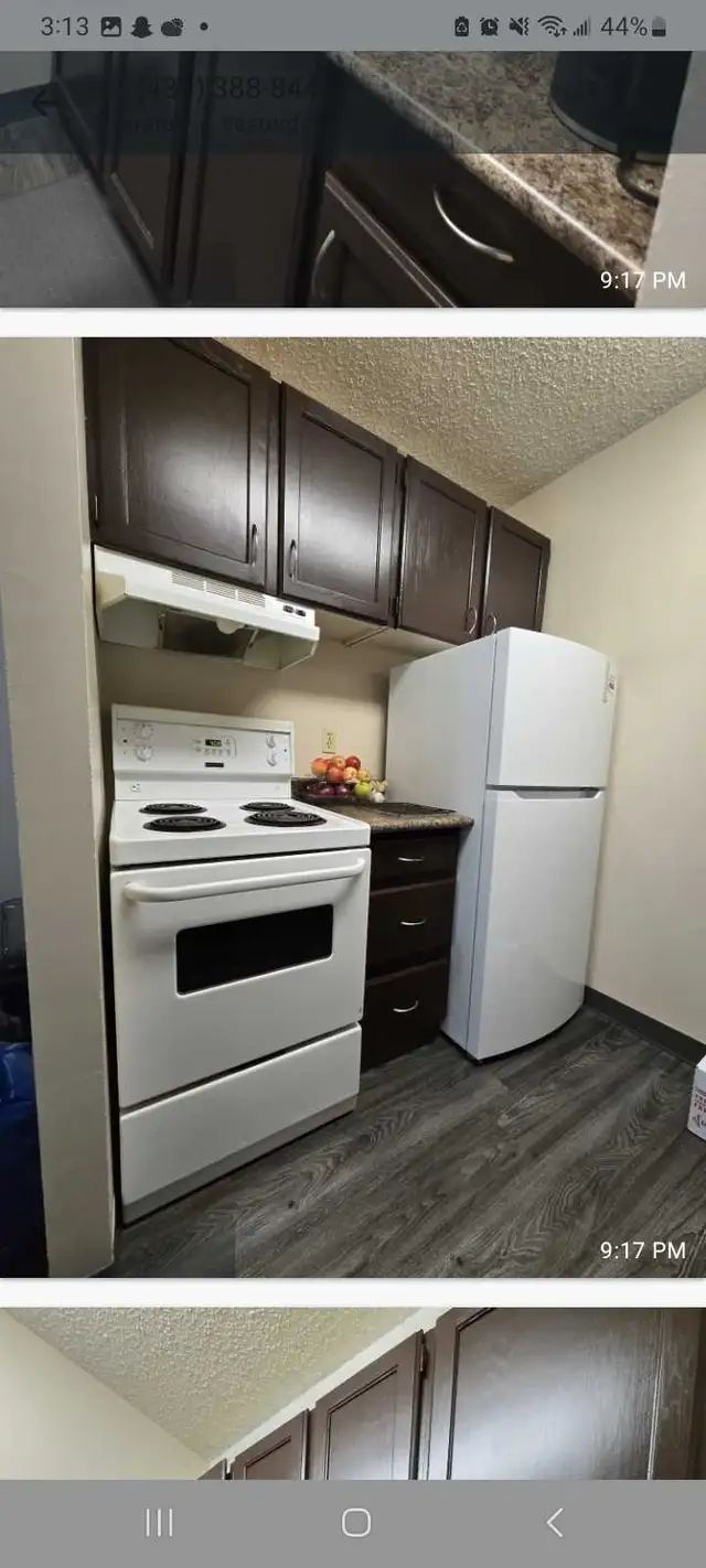 1 bedroom apartment for sublease