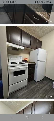 1 bedroom apartment for sublease