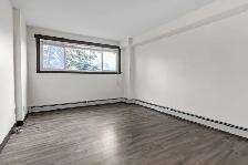 One Bedroom Apartment in Windsor Park - Photo 4