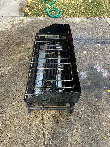 Camp Chef Camping Grill - Photo 4