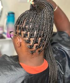 Braids and Locs - Photo 5
