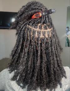 Braids and Locs - Photo 7