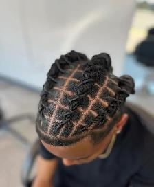Braids and Locs - Photo 9