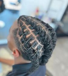 Braids and Locs - Photo 10