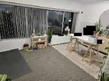 Commercial Plaza Office Space for Lease - 550 Sq Ft, Unit 13 Upp - Photo 2