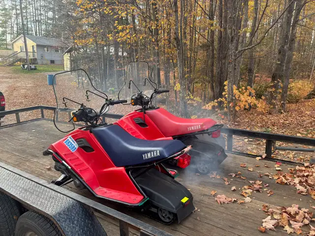1989 SnoScoots