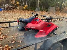 1989 SnoScoots - Photo 3