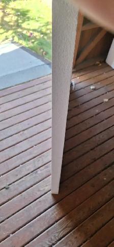 2'styrofoam