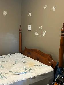 Antique double bed frame with boxspring.  No mattress
