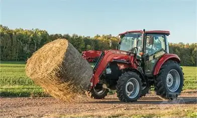 Hay / Feed