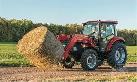Hay / Feed