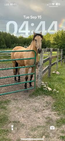 winter horse boarding