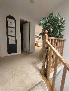 Room 4 Rent Aurora - Photo 3