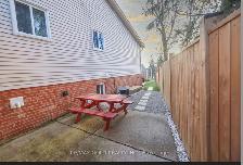 1 Bedroom Basement Apart. for Rent in Grapeview( St.Catharines) - Photo 7