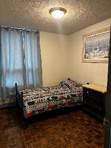 Private Room For Rent Etobicoke Kipling Subway - Photo 3