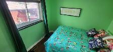 Three-bedoom Erindale house with deck & huge yard! - Photo 8