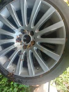 winter tires 20' low profile for BMW - Photo 2