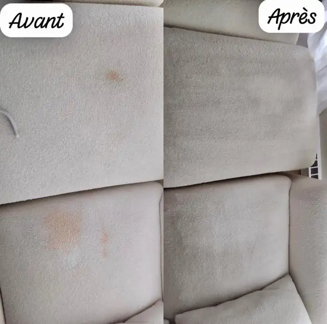 Nettoyage tapis, sofa et vitres
