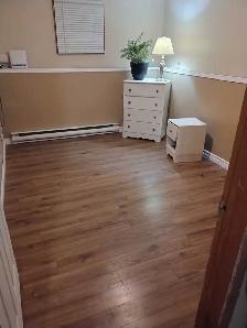 1 Bedroom Basement Apartment -Prime West Side Location - Photo 3