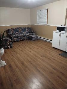 1 Bedroom Basement Apartment -Prime West Side Location - Photo 4