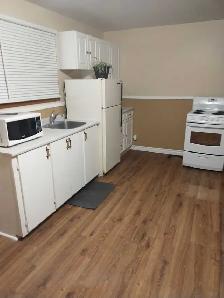 1 Bedroom Basement Apartment -Prime West Side Location - Photo 5