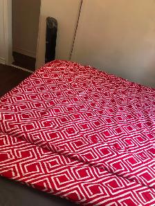 Beautiful, Furnished Room on main floor in Scarborough for Rent - Photo 9