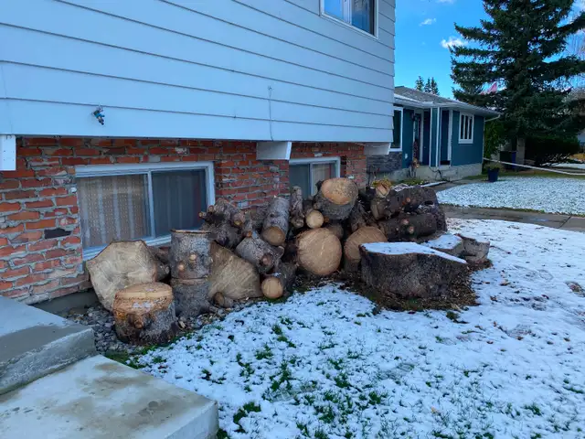 Free firewood