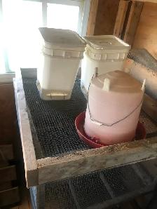 Chicken Nesting Pen - Photo 2