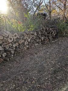 Firewood for FREE - Photo 3