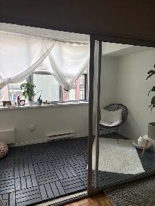 ROOM FOR RENT – DOWNTOWN TORONTO | $1,250 | AVAILABLE NOVEMBER 1 - Photo 3