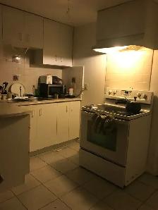 Fully Furnished 2-Bedroom Apartment for Rent – Brampton - Photo 4