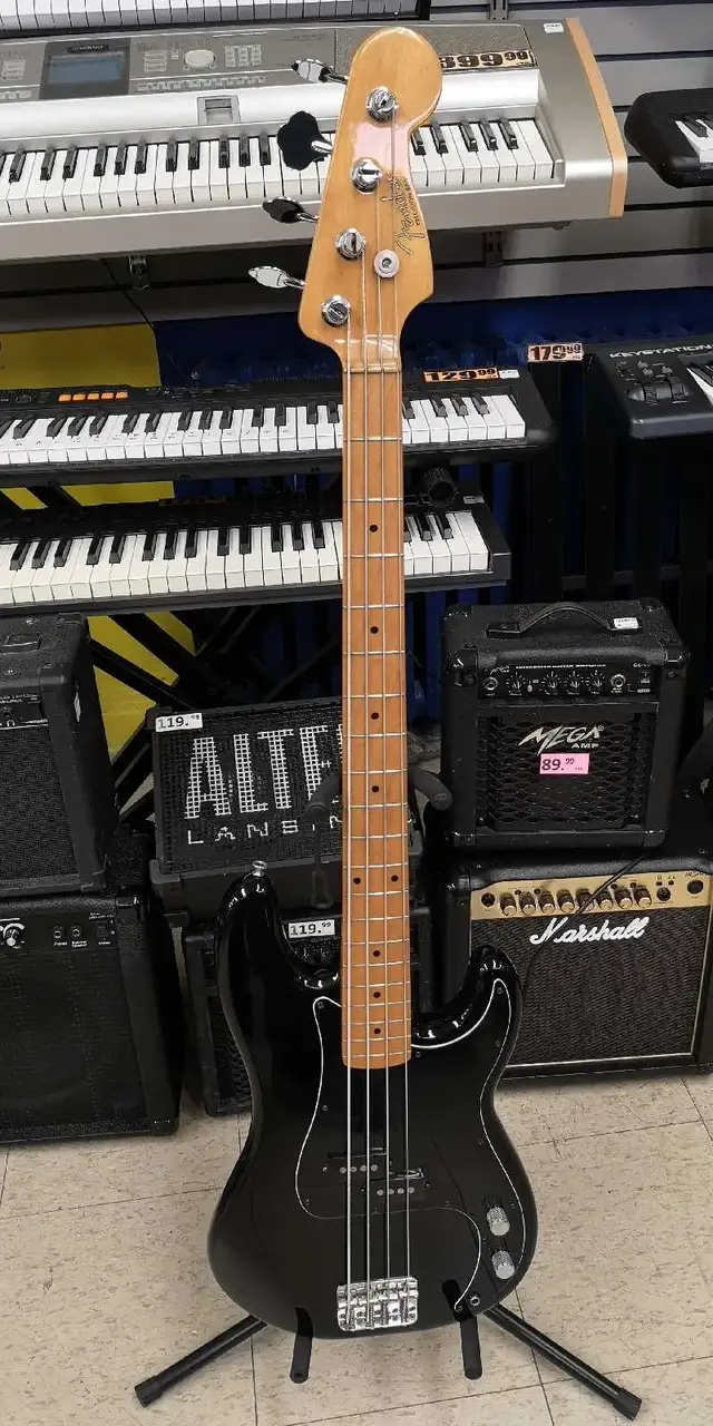 Bass Fender