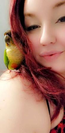 Conure à joues vertes - Photo 2