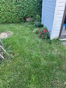 Hardscaping, Drainage, Patios, Decks & Pergolas | UDFY - Photo 7