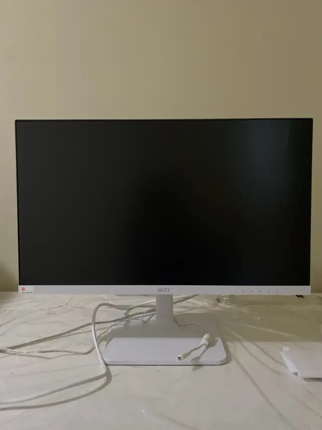 computer monitor
