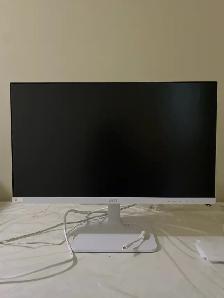 computer monitor