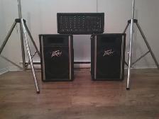 PEAVEY SOUND SYSTEM DE SON AND STAINLESS STEEL STANDS
