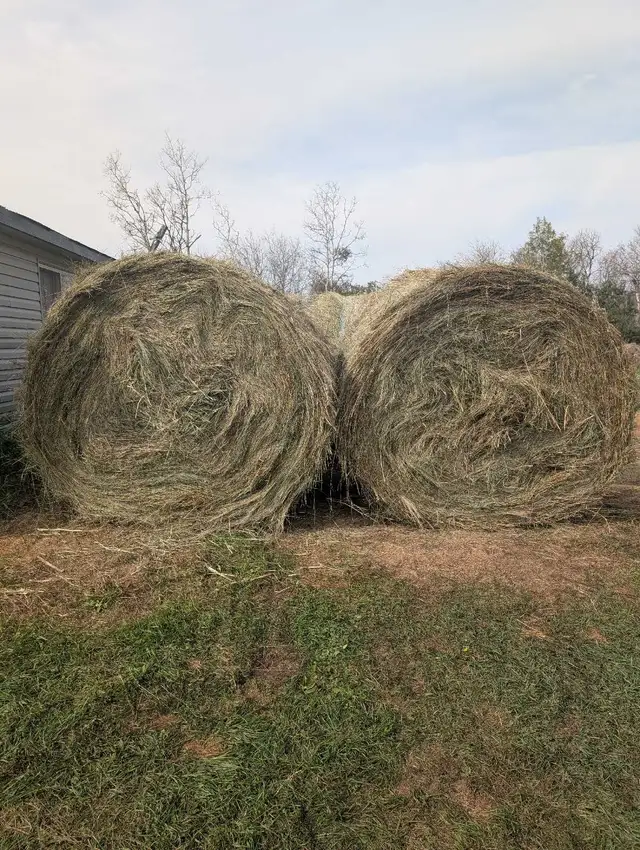Round Hay Bales