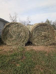 Round Hay Bales